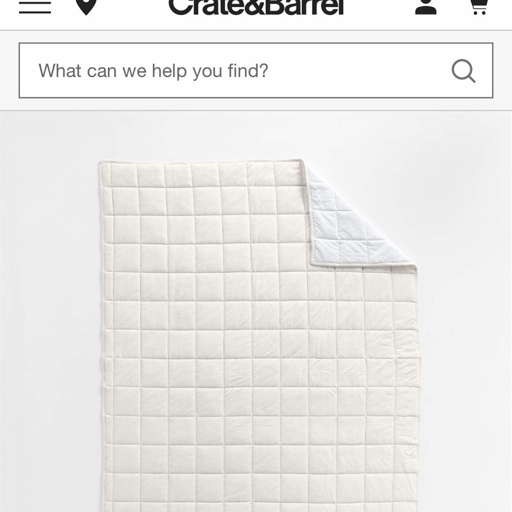 Crate&Barrel Soft Cream Comforter - Picture 12 of 13